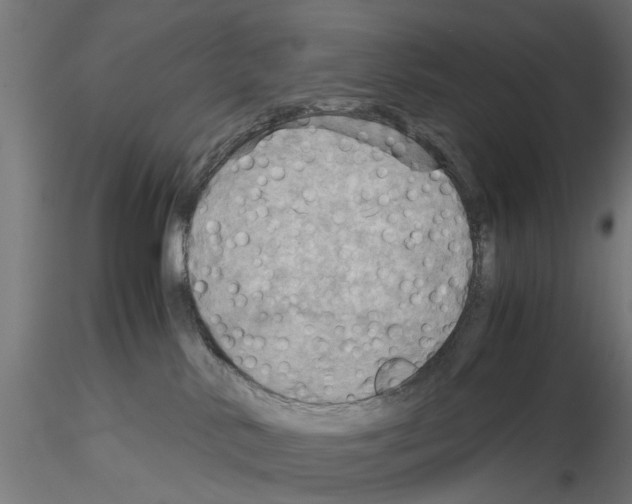 X0000115190042200912091121