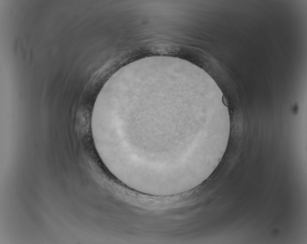 X0000115190043200912091121