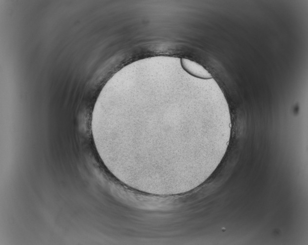 X0000115190044200912091121