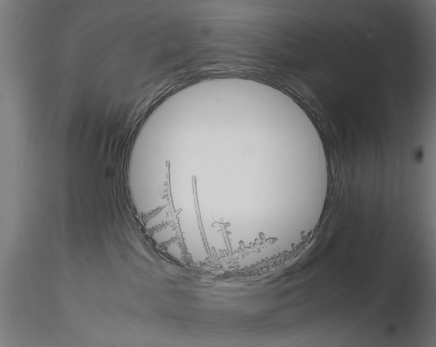 X0000115190045200912091121