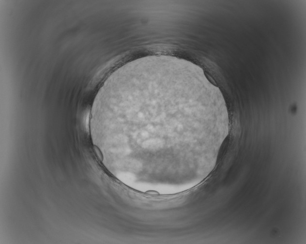 X0000115190047200912091121