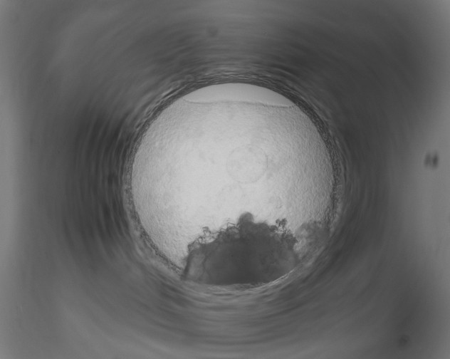 X0000115190048200912091121