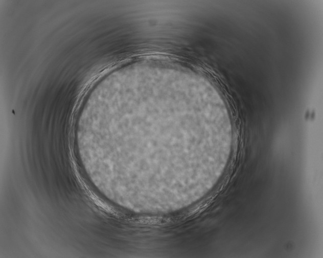 X0000115190049200912091120