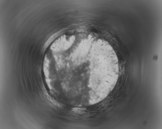 X0000115190051200912091120