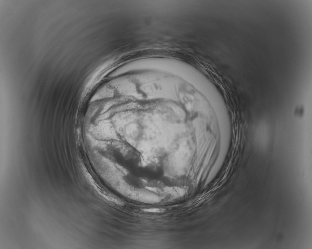 X0000115190053200912091120