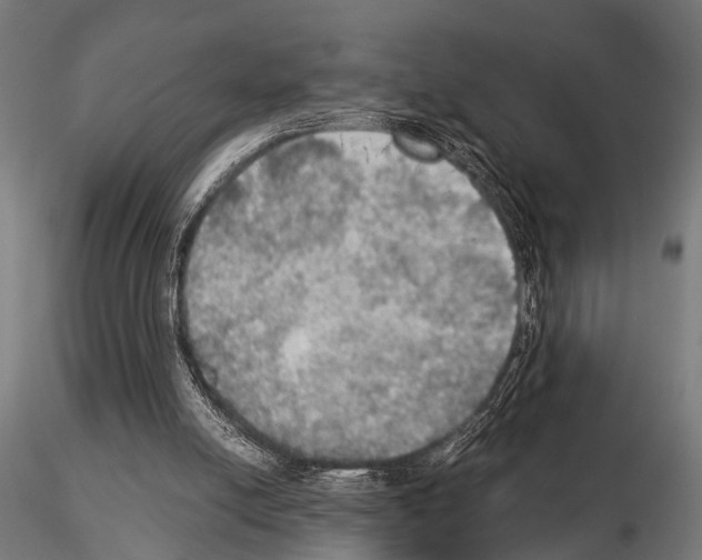 X0000115190054200912091120