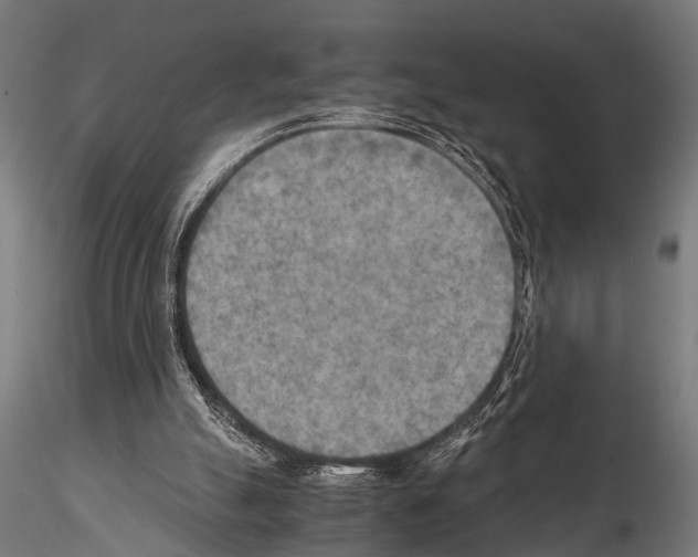 X0000115190055200912091120