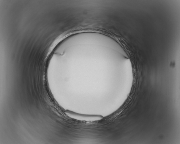 X0000115190056200912091120