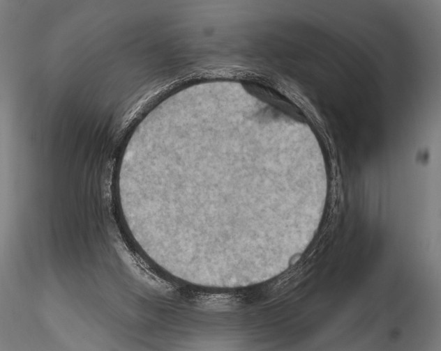 X0000115190058200912091120