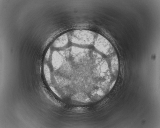 X0000115190059200912091120