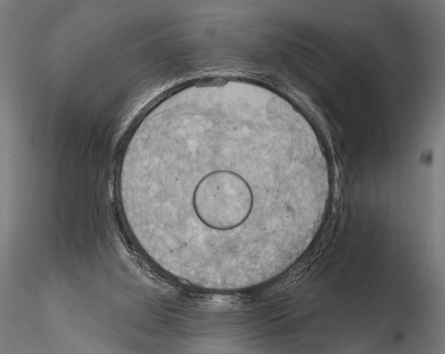 X0000115190060200912091120