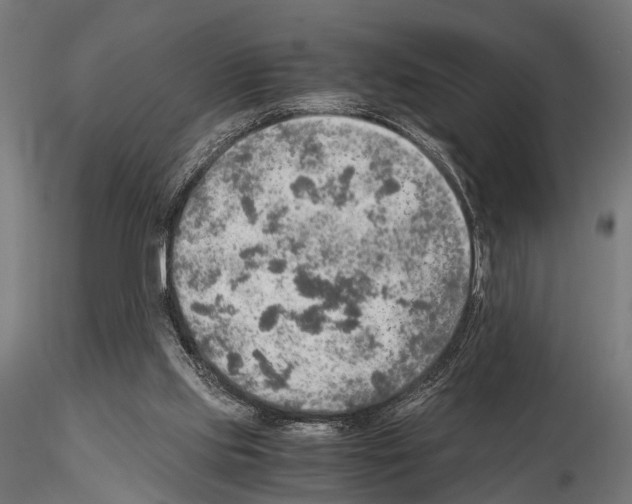 X0000115190061200912091120