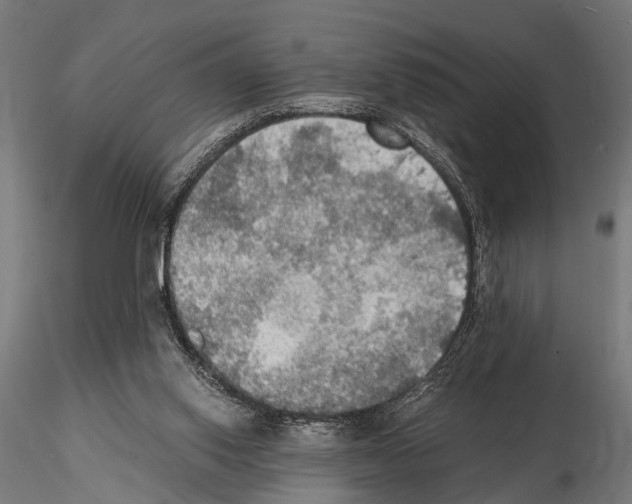 X0000115190062200912091120