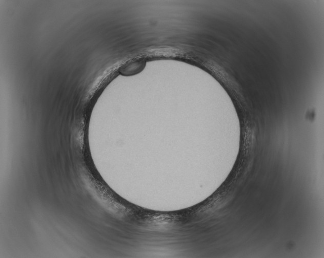 X0000115190064200912091120