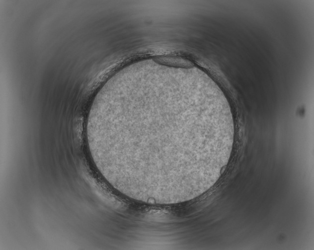 X0000115190066200912091120