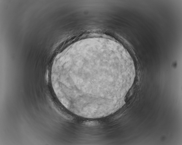 X0000115190067200912091120