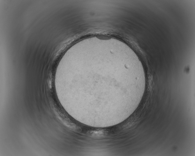 X0000115190068200912091120