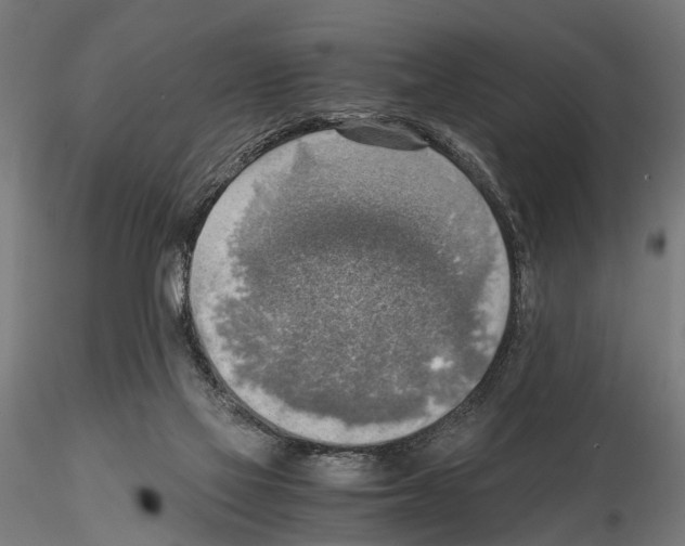 X0000115190069200912091120