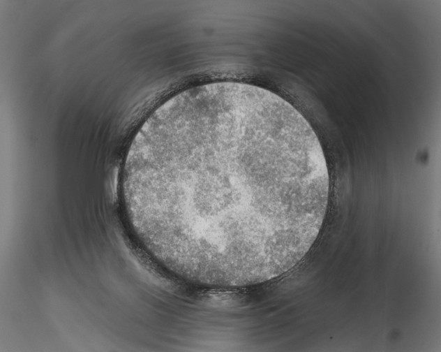 X0000115190070200912091120