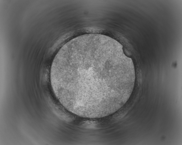 X0000115190071200912091120