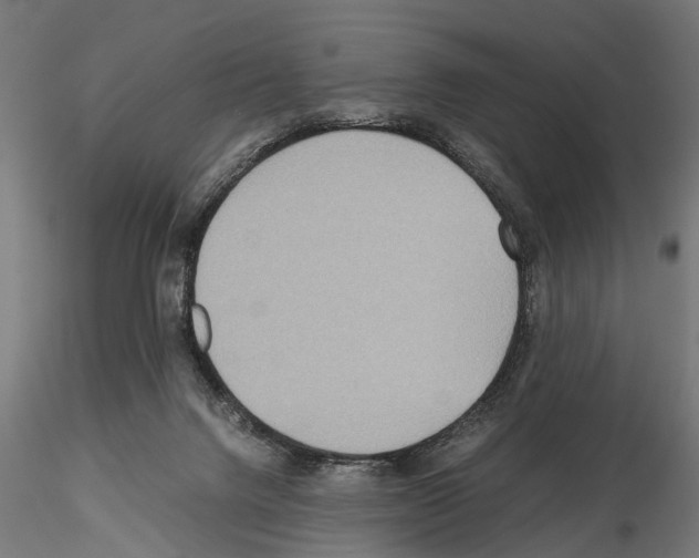 X0000115190072200912091120