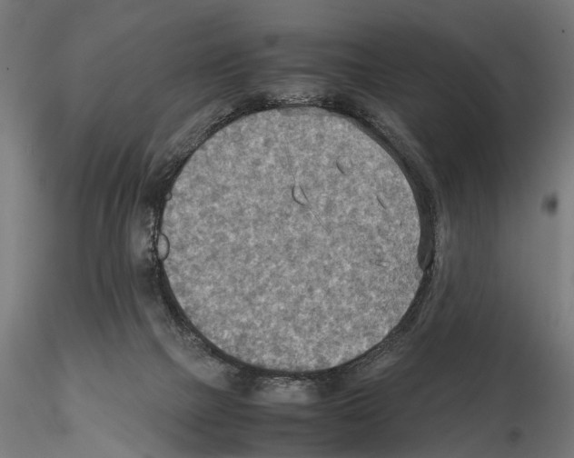 X0000115190073200912091120