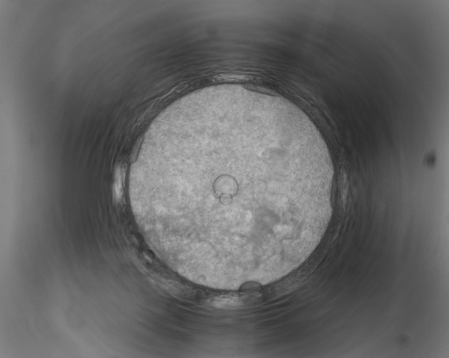 X0000115190075200912091120