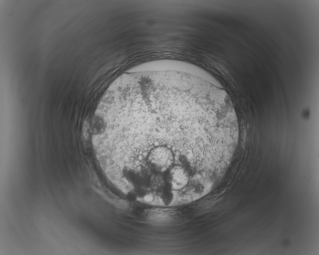 X0000115190077200912091120