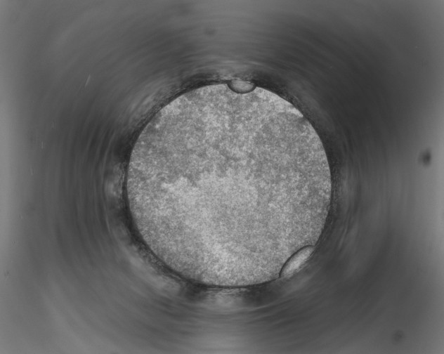 X0000115190078200912091120