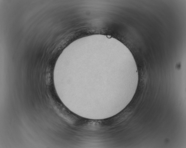 X0000115190080200912091120