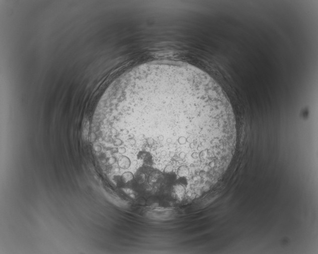 X0000115190081200912091120