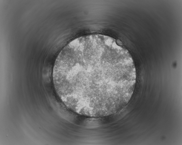 X0000115190082200912091120