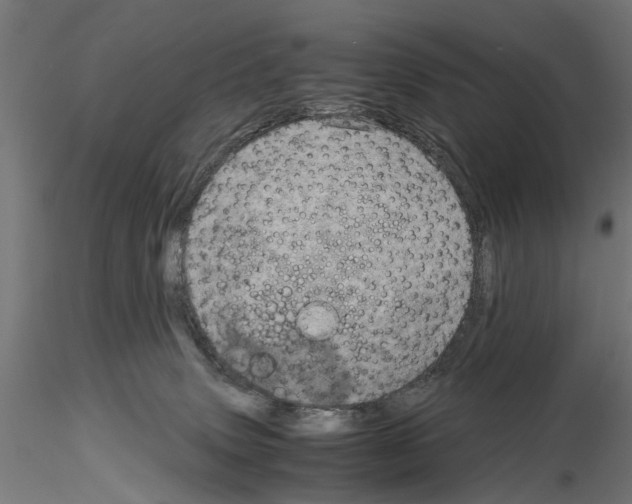 X0000115190083200912091120