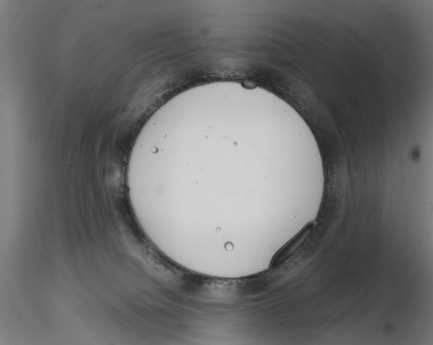 X0000115190084200912091120