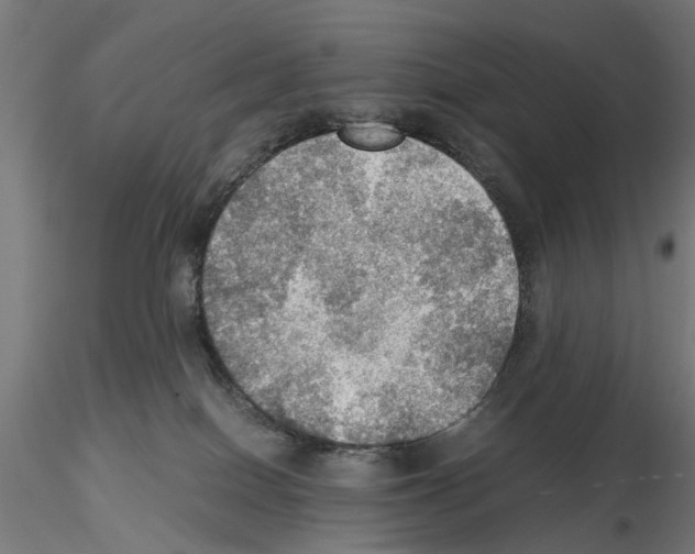 X0000115190086200912091120