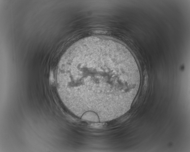 X0000115190089200912091120