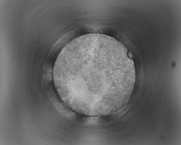 X0000115190090200912091120