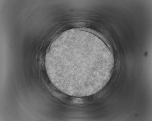 X0000115190091200912091120