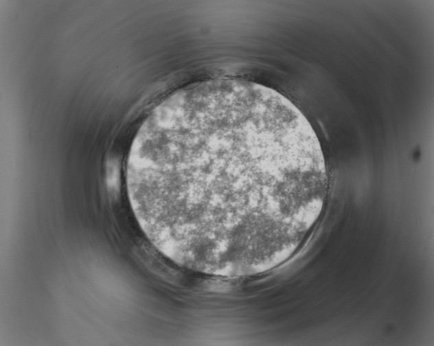 X0000115190094200912091121