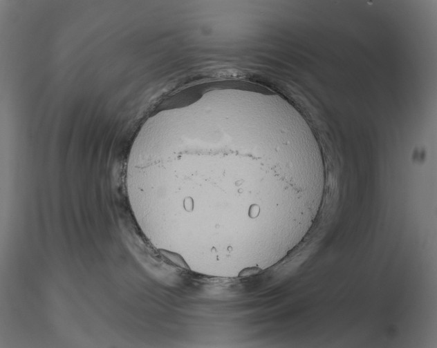 X0000115190096200912091121