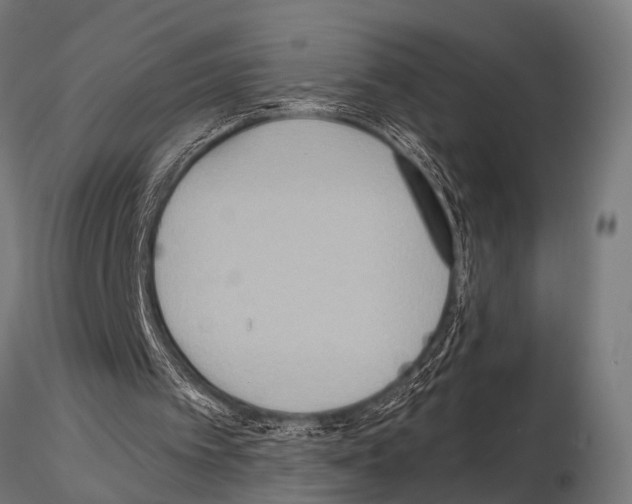 X0000115190097200912091120