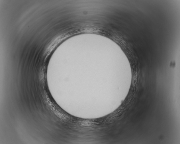 X0000115190098200912091120