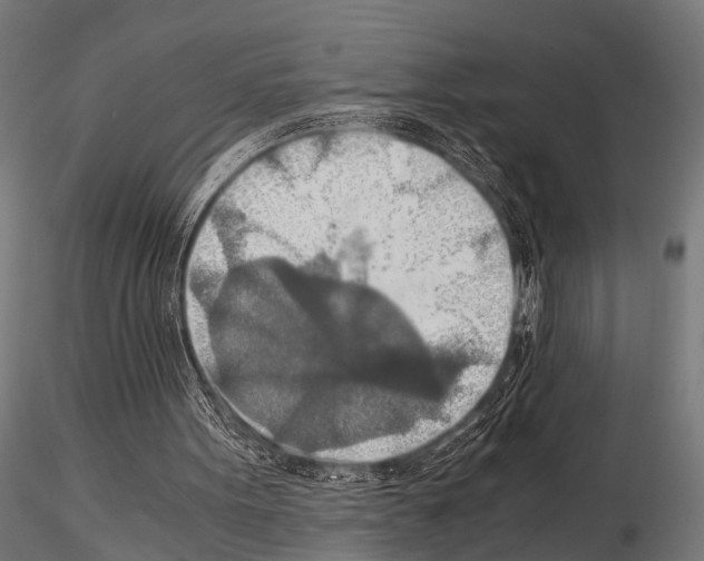 X0000115190099200912091120