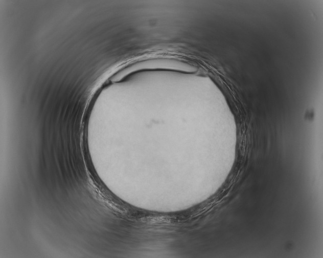 X0000115190100200912091120