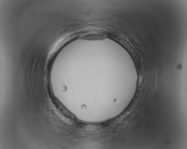 X0000115190101200912091120