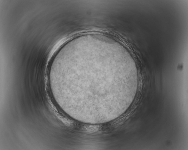 X0000115190102200912091120