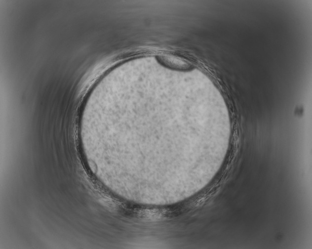 X0000115190103200912091120