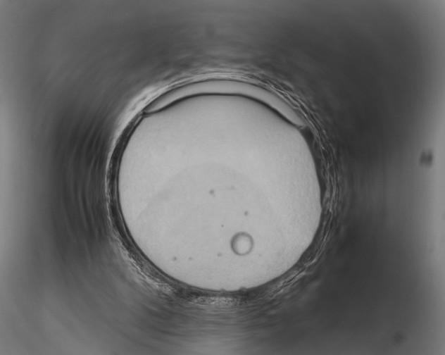 X0000115190104200912091120