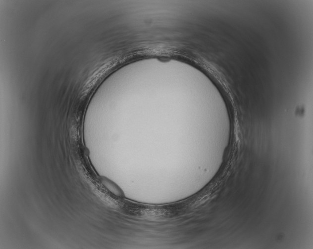 X0000115190105200912091120