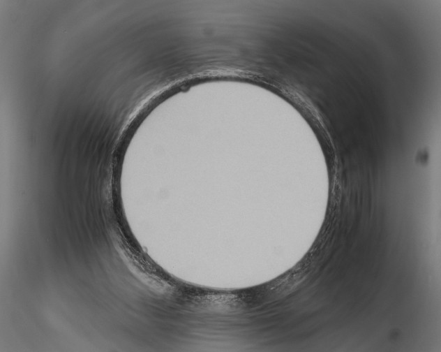 X0000115190108200912091120